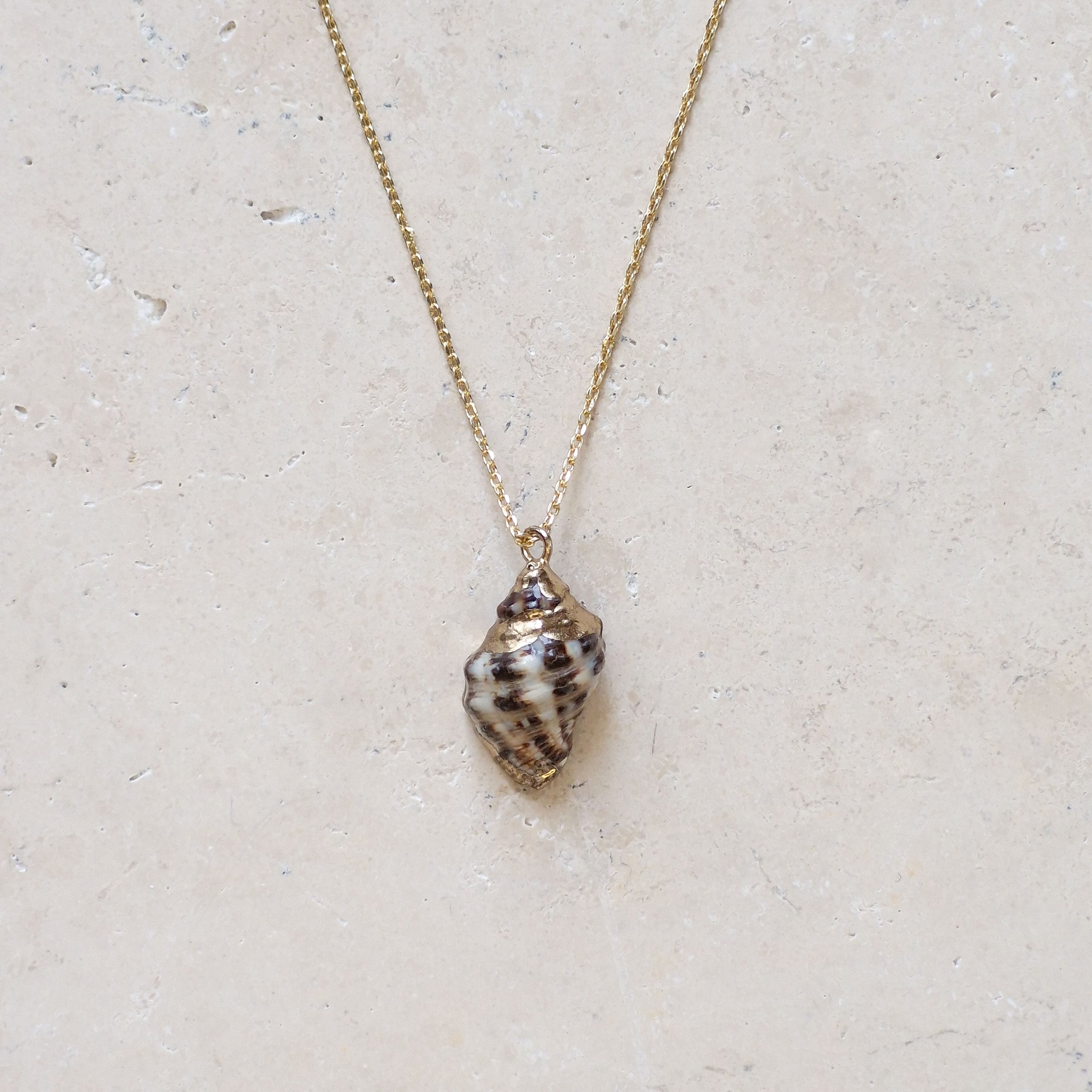 SHELL COLLIER