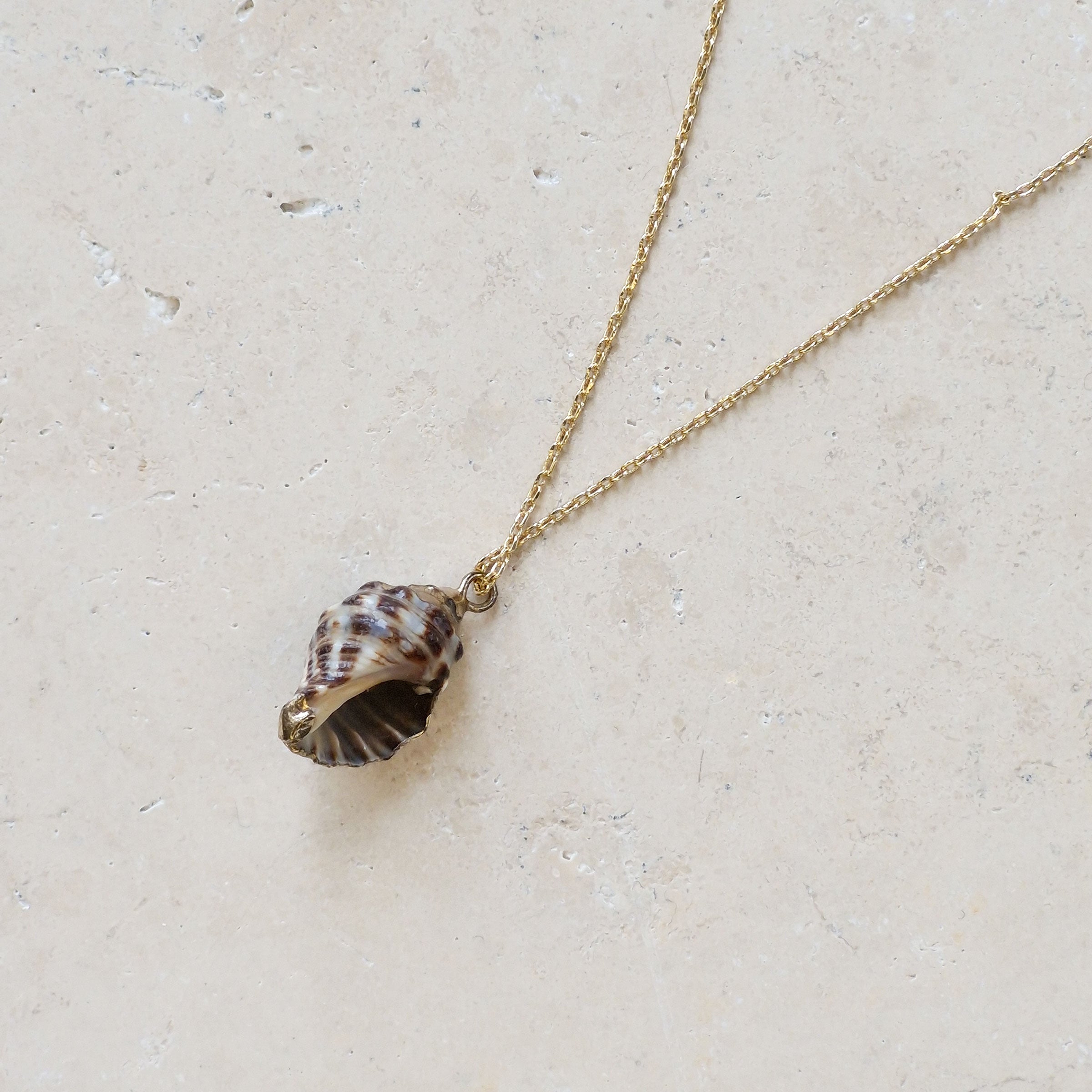 SHELL COLLIER
