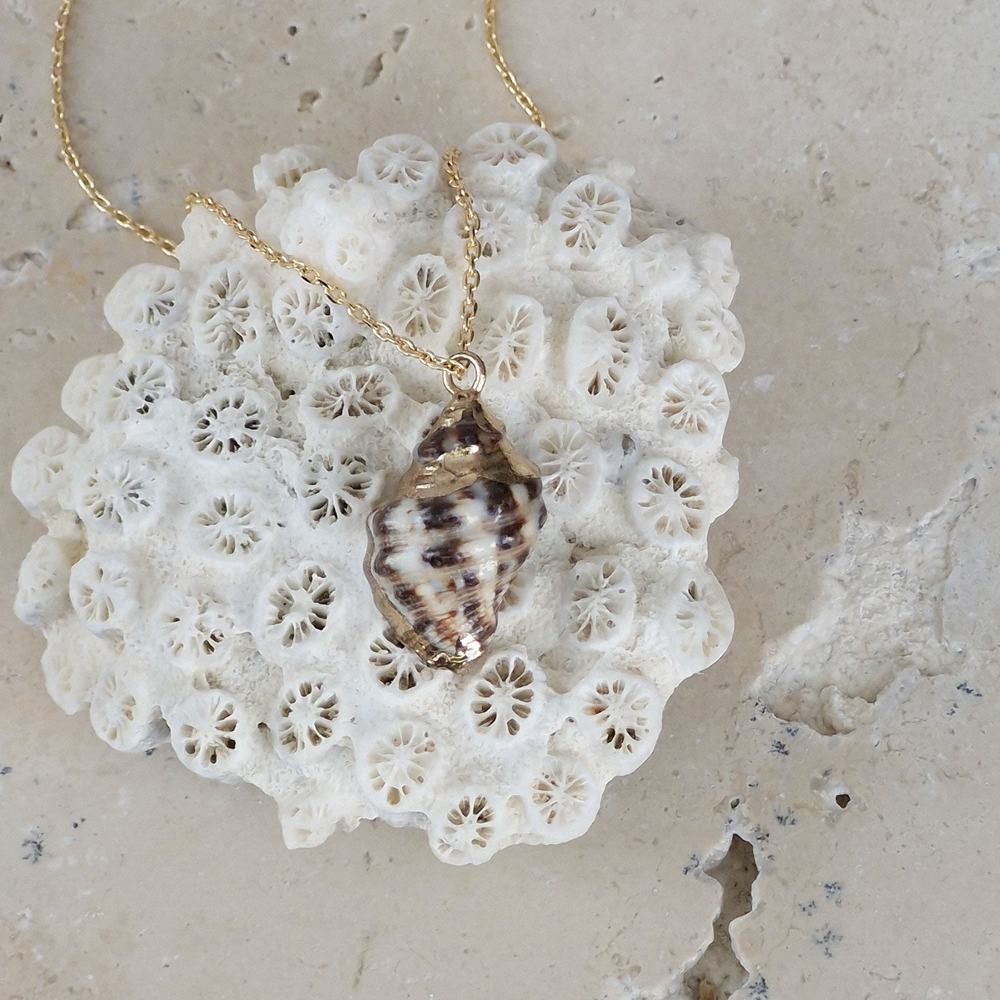 SHELL COLLIER